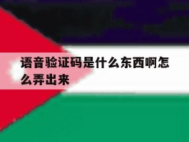 语音验证码是什么东西啊怎么弄出来